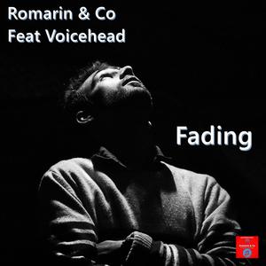 Fading (feat. Voicehead)