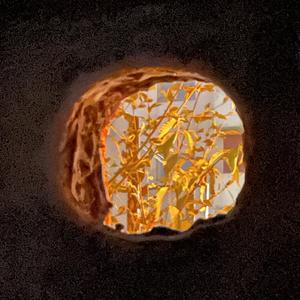 Road w/o u (feat. Tokyo)