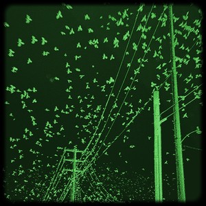 pop dat mo!!y (Explicit)