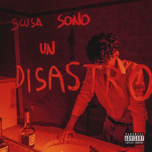 SCUSA SONO UN DISASTRO