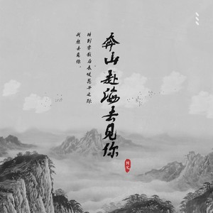 奔山赴海去见你 (DJ沈念版)封面