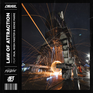 Law Of Attraction (Explicit)