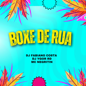 MC Negritin - boxe de rua (Live)