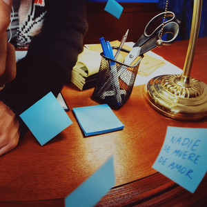 nadie se muere de amor