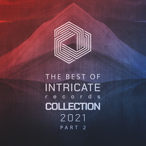 The Best of Intricate 2021 Collection, Pt. 2 (Explicit)