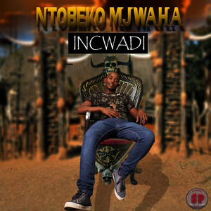 Incwadi