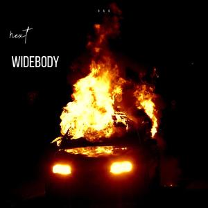 Widebody (feat. HoGang Benjii) [Explicit]