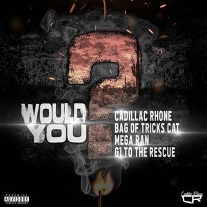 Would You (feat. Bag Of Tricks Cat, Mega Ran, G1 To The Rescue) (Explicit)