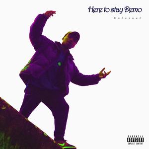 Here to stay Demo (Explicit)