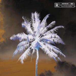 La Ville S'éteint (Explicit)