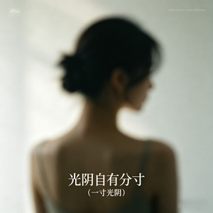 光阴自有分寸 (一寸光阴)