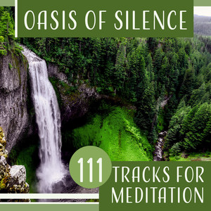 Oasis of Silence – 111 Tracks for Meditation: Calming Audio Therapy, Yoga Exercises, Harmony with Universe, Mind Focus, Inner Voice, Spiritual Path