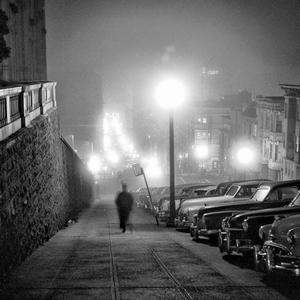 THE FALL OF HAMSTERDAM