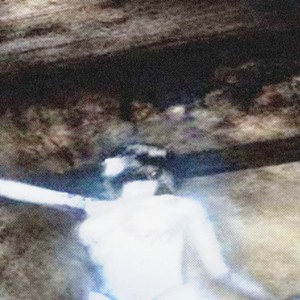 L'APPEL DU VIDE