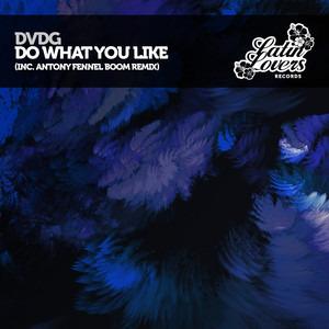 Do What You Like (Extended Mix)