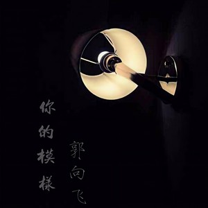 你的模样