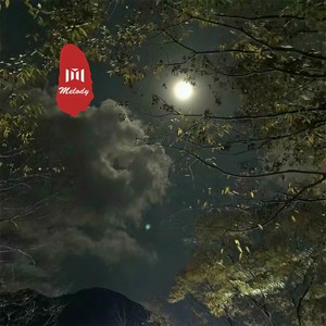 如果的事-前女友&虞姬&圈妹&小奶瓶