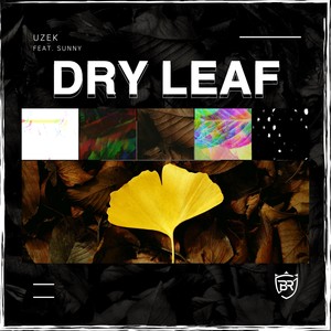 Dry Leaf