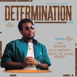 Determination 2024 (Explicit)