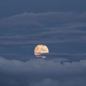 繁星闪烁的夜