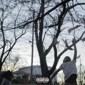 Money Doesn't Grow On Trees (feat. Nshimir) [Explicit]