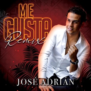 Me Gusta (Remix)