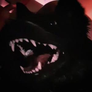 Dogs linger from fear (feat. w3s) (Explicit)