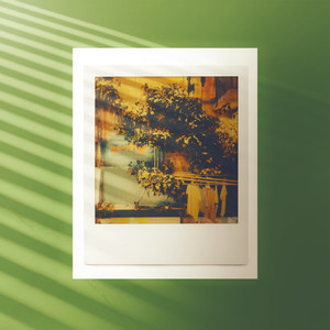 Both from the East Coast (Explicit)