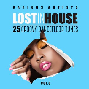 Lost in House (25 Groovy Dancefloor Tunes), Vol. 3