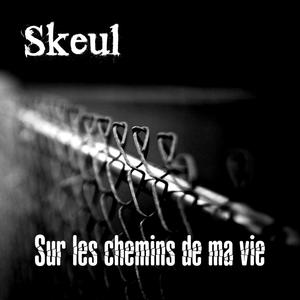 Sur les chemins de ma vie (démo) [Explicit]