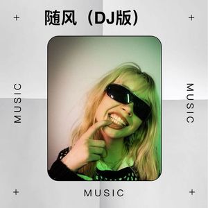 随风 (DJ版)