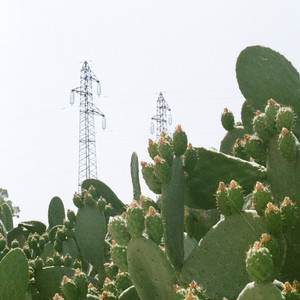 Invincible Summers (Edit)