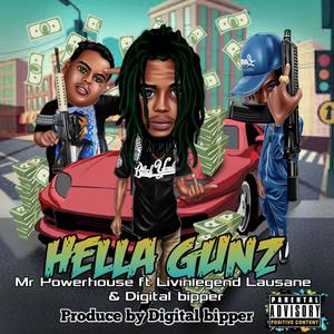 Hella Gunz (feat. Digital Bipper & Livinlegend Lausane) [Explicit]