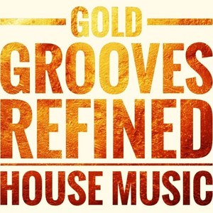 Gold Grooves (Refined House Music)