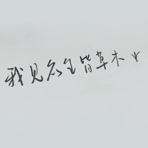 蜡笔有才 - 云烟成雨