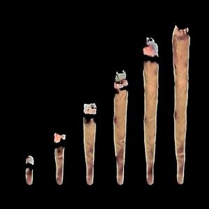 show it up (Explicit)