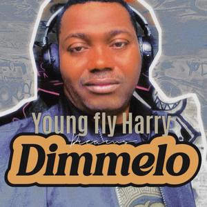 Dimmelo (Explicit)