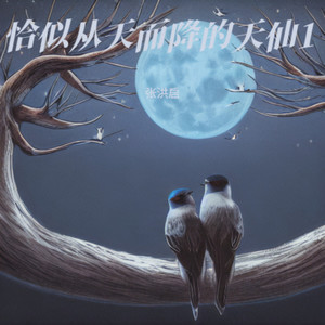 20240103_19433恰似从天而降的天仙9_转换 (Live)