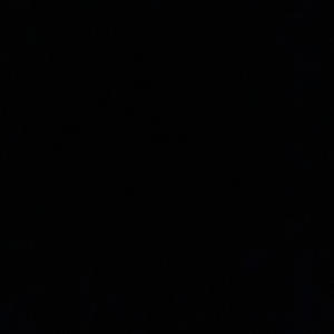 Go Dumb (old file) (feat. TherealTp & Ty Banks) (Explicit)