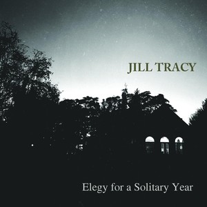 Elegy for a Solitary Year