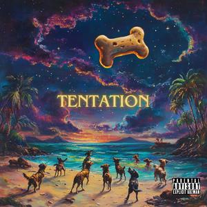 Tentation (feat. Sueilo) [Explicit]