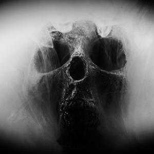 O Retorno - Gostosa do Bailão (feat. MC Kenin)