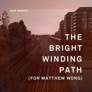 The Bright Winding Path (for Matthew Wong)