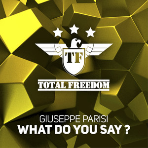 What Do You Say? (Original Mix)