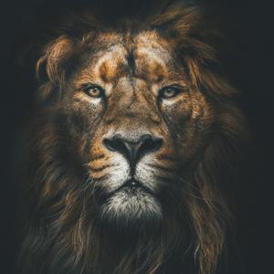 2020 VISION (Explicit)