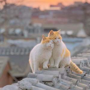 你眉目如当年流转我心间 (氛围版)