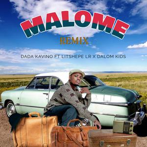 Malome (feat. Litshepe Lr & Dalom Kids)