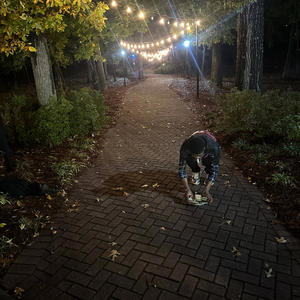 1luhtee - Two piece (Explicit)