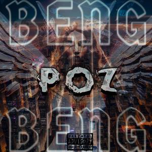 POZ (Ziplas Remix) [Explicit]