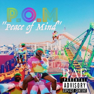 P.O.M (Explicit)